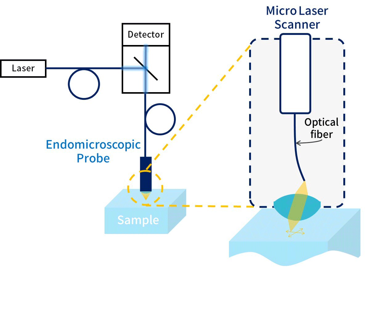 Confocal Endomicroscopy Using Micro-laser Scanner