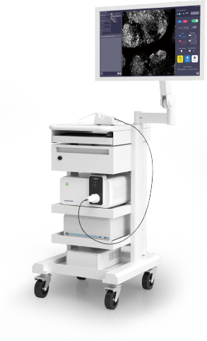 cCeLL - In vivo